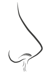 Nez